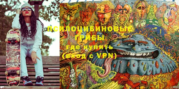 apvp Аркадак