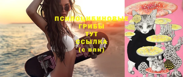 синтетический гашиш Арсеньев